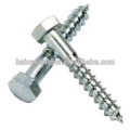 Boulon en acier inoxydable 316, lag screw